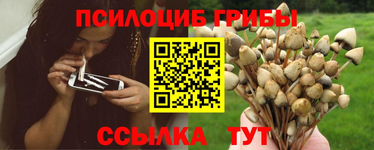 Сосновый Бор  Галлюциногенные грибы Psilocybe  Вход с VPN 